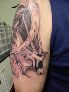 DSCN0149
